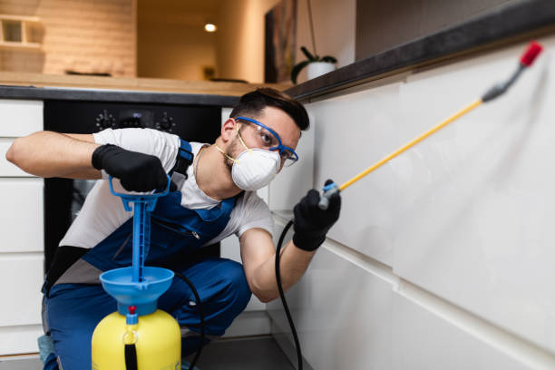 Reliable Vernon Valley, NJ Pest Control Solutions