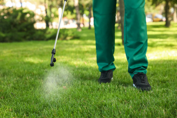 Bird Control in Vernon Valley, NJ