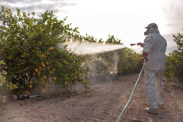 Best Pest Inspection Near Me  in Vernon Valley, NJ