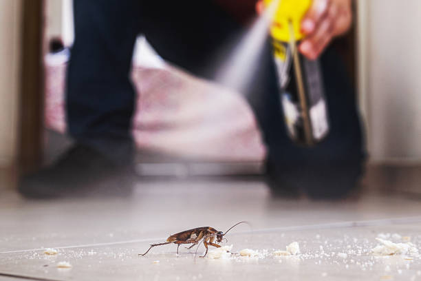 Best Spider Control Near Me  in Vernon Valley, NJ