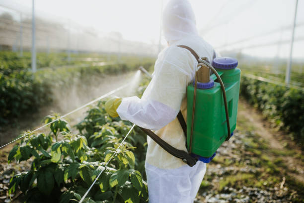 Best Best Pest Control Companies  in Vernon Valley, NJ